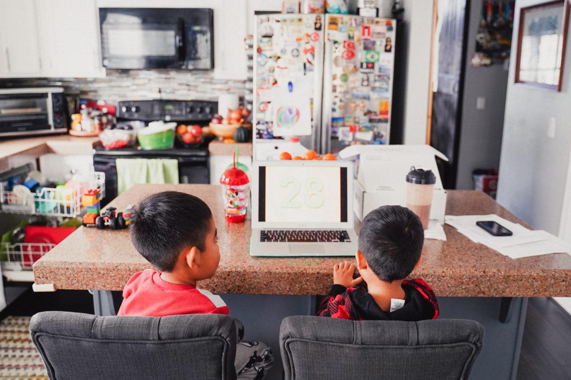Young boys working at home on a computer.